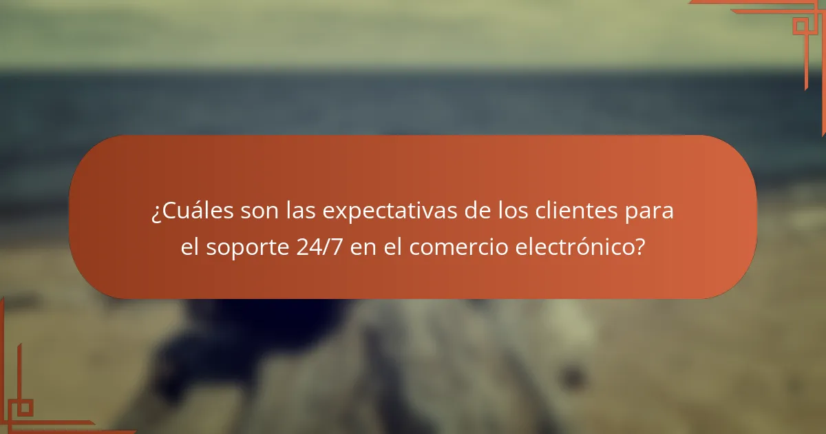 ¿Cuáles son las expectativas de los clientes para el soporte 24/7 en el comercio electrónico?