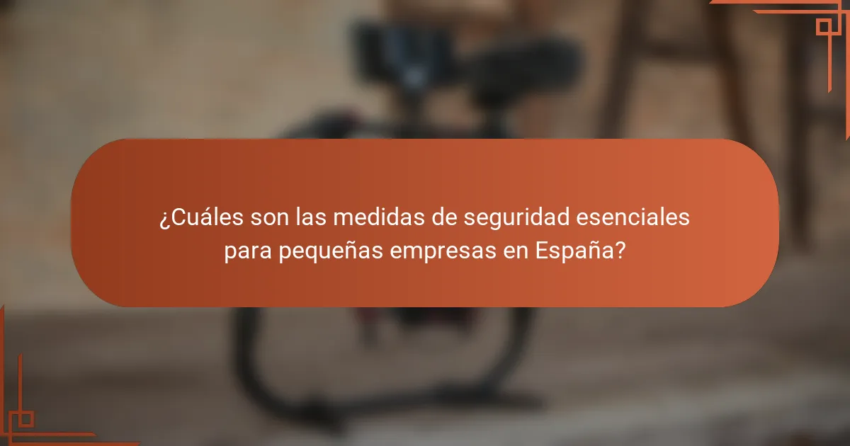 ¿Cuáles son las medidas de seguridad esenciales para pequeñas empresas en España?