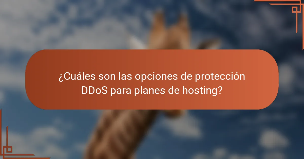 ¿Cuáles son las opciones de protección DDoS para planes de hosting?