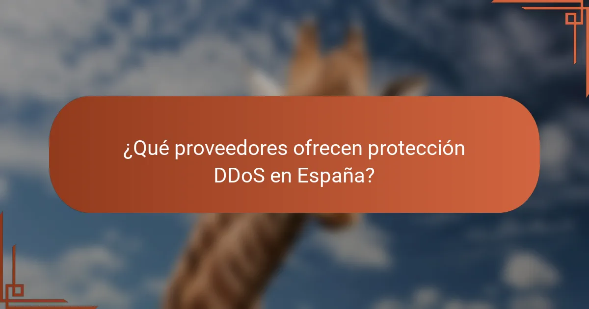 ¿Qué proveedores ofrecen protección DDoS en España?